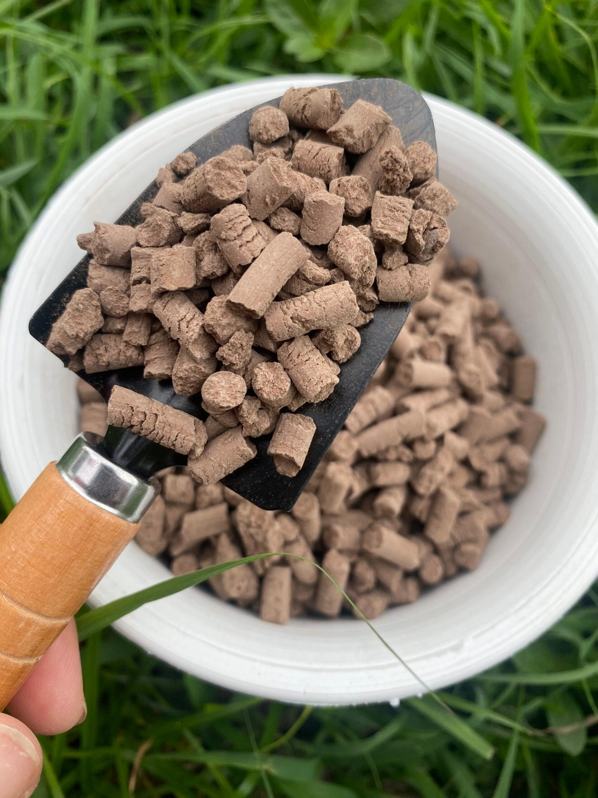 แปลงหินบะซอลต์